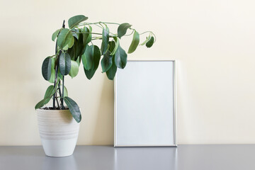 Mockup template with one silver frame A4 standing next to wall with decorative home plant in pot.
