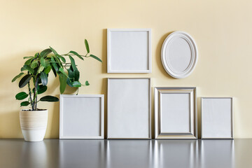 Collection of six blank frames standing on reflective surface with potted plant.