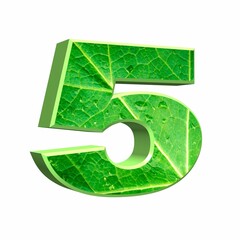 chiffre 5 feuille 
