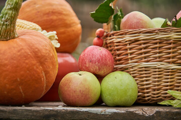  Bright pumpkins , juicy apples, corn are lying on an old wooden bench in the garden.