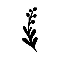 Isolated simple hand drawn black flowers elements. Vector illustration. 