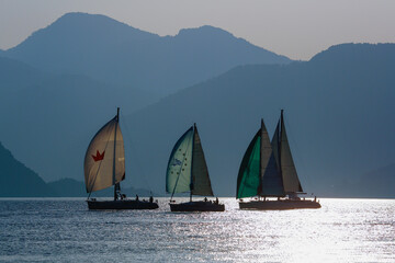 Naklejka premium sailing yachts at sea