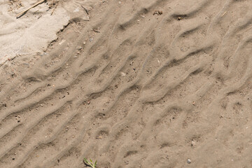 traces on sand