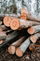 stack of wood