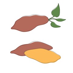One line hand drawn set of sweet potato with color. Vector illustration isolated on white background. 