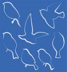 Vector contour textured brush drawing of set silhouettes abstract birds
