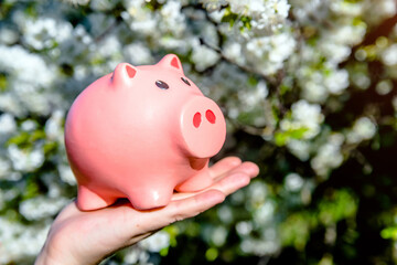 Girl holding piggy Bank against the background of blossoming cherry

