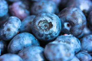 Blue round berries background close up. Blueberries or Vaccinium corymbosum are widely cultivated by gardeners across the United States. Fruit and juice. Summer harvest. Natural food. Eco market.