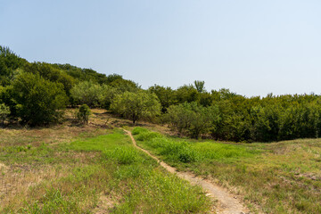 road in the countryside