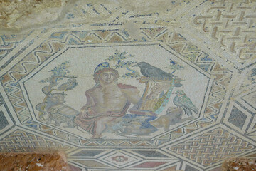 Fototapeta na wymiar Antique roman mosaic in Porto Torres, Sardinia, Italy