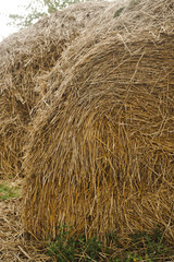Haystack or hay straw. Haystack, hay straw