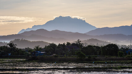 Beautiful Mount Kinabalu view with shadow of mountain view from paddy field