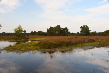 Moorsee am Abend