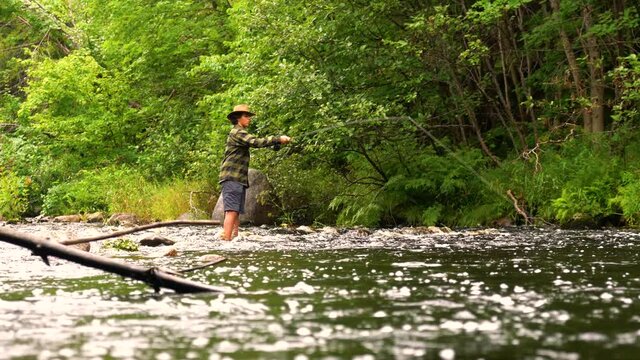 A young man fly-fishing on a beautiful wilderness trout stream
