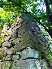 Fototapeta premium Hiroshima Castle (Stone Wall), Hiroshima city