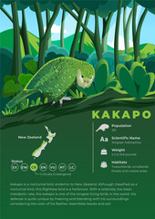 Animal Infographic Series - Kakapo