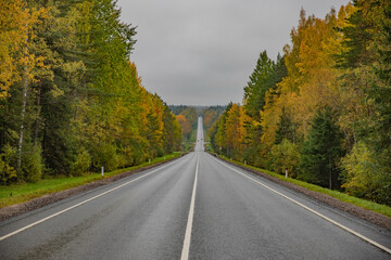Fototapeta premium Highway through a dense autumn forest.