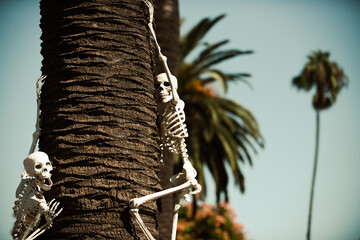 Helloween skeleton near house decor. Halloween scenery. Terrible holiday at home. Halloween in the...