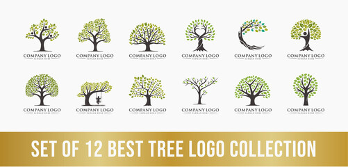 best tree logo collection set, perfect for company logos, business and branding.