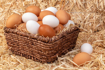 Basket of freshly collected eggs