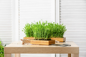 Boxes with fresh micro green on table