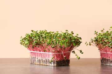 Plastic containers with fresh micro green on color background