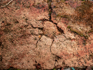the surface of the bricks made of clay looks small cracks
