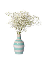 Vase with beautiful gypsophila flowers on white background