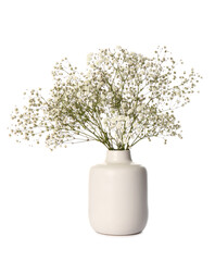 Stylish vase with beautiful gypsophila flowers isolated on white