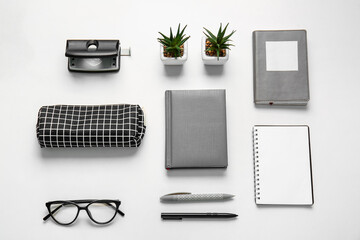Pencil case, eyeglasses, stationery and houseplants on white background