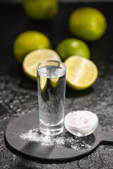 Shot of tasty tequila with lime and salt on dark background, closeup