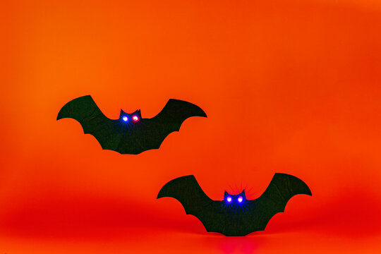 Two cute bats on orange red background. Halloween theme concept.