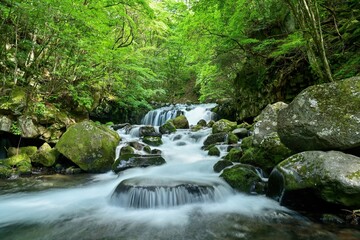 静寂に包まれた夏の蓼科大滝の情景＠長野