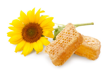 Honeycombs with sunflower on white background