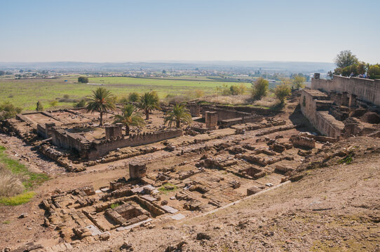 Panoramic view of the ruins of a aljama mosque at the palatine city of Madinat Al-Zahra, Unesco World Heritage Site at Cordoba, Spain.