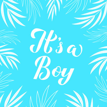 It s a boy calligraphy lettering on blue background with palm leaves. Gender reveal sign. Baby shower decorations. Vector template for invitation, greeting card, banner, typography poster, label, etc