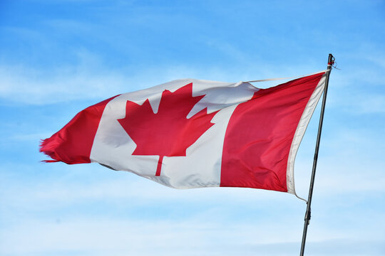 An image of a worn out red and white Canadian flag on a metal flag pole. 