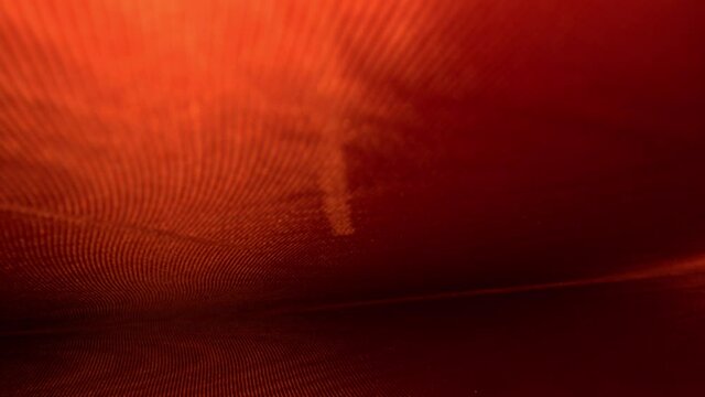 Pulling away from inside the intricately decorative endpapers of a hard cover book starting near the spine. Dominantly bright lines on left side pass over wavy pattern that is defocused at the end.