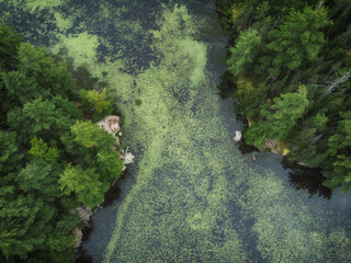 Aerial over expansive wilderness of crown land in Tory Hill, Highlands East, southern Ontario,...