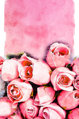 Beautiful rose bouquet illustration and watercolor background