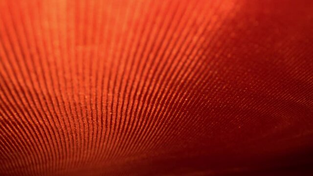 Pushing inside the intricately decorative endpapers of a hard cover book. Lines and patterns of fabric material really pop with bright orange red colors. Cover ends in nearly horizontal position.