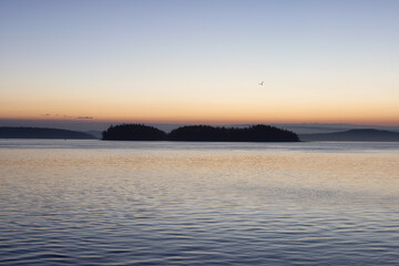 Fototapeta na wymiar Gulf Islands on the West Coast of Pacific Ocean. Canadian Nature Landscape Background. Summer Sunrise. Victoria, Vancouver Island, BC, Canada.