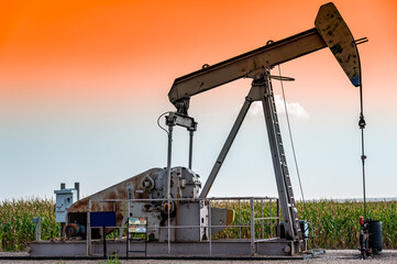 Oil pump jack against an open sky in a rural midwest corn field - obrazy, fototapety, plakaty