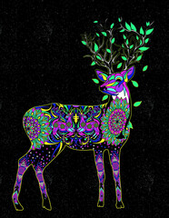deer huichol