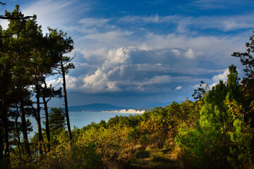 Fototapeta na wymiar View of the forest, sea and clouds