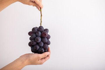 秋の味覚　ふどう　高級ぶどう　フルーツ　季節の果物