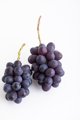 秋の味覚　ふどう　高級ぶどう　フルーツ　季節の果物