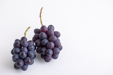 秋の味覚　ふどう　高級ぶどう　フルーツ　季節の果物