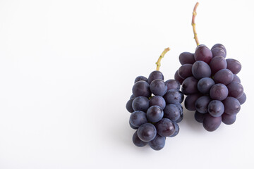 秋の味覚　ふどう　高級ぶどう　フルーツ　季節の果物