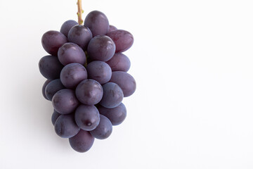 秋の味覚　ふどう　高級ぶどう　フルーツ　季節の果物